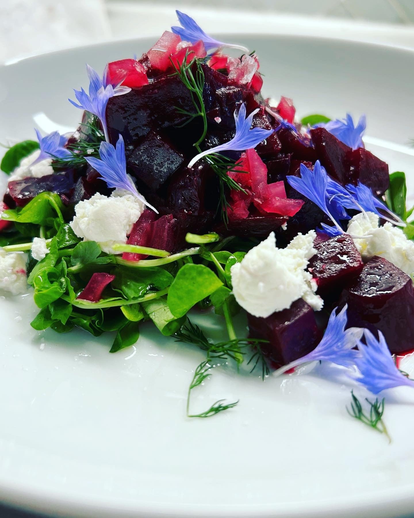 Beet and Goat Cheese Salad **comes with, greens, larger in size***