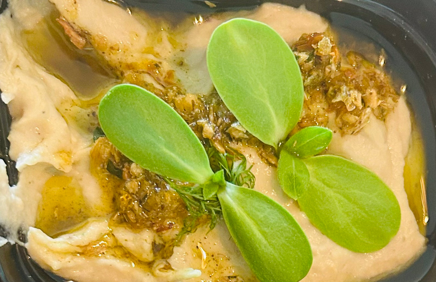 Grab and Go Garbanzo Hummus