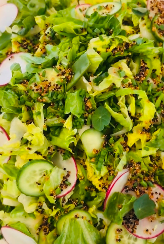 Radish, Cucumber, Quinoa, Shredded Chicken Salad 🥗 🥒 🫜 (chicken not pictured)