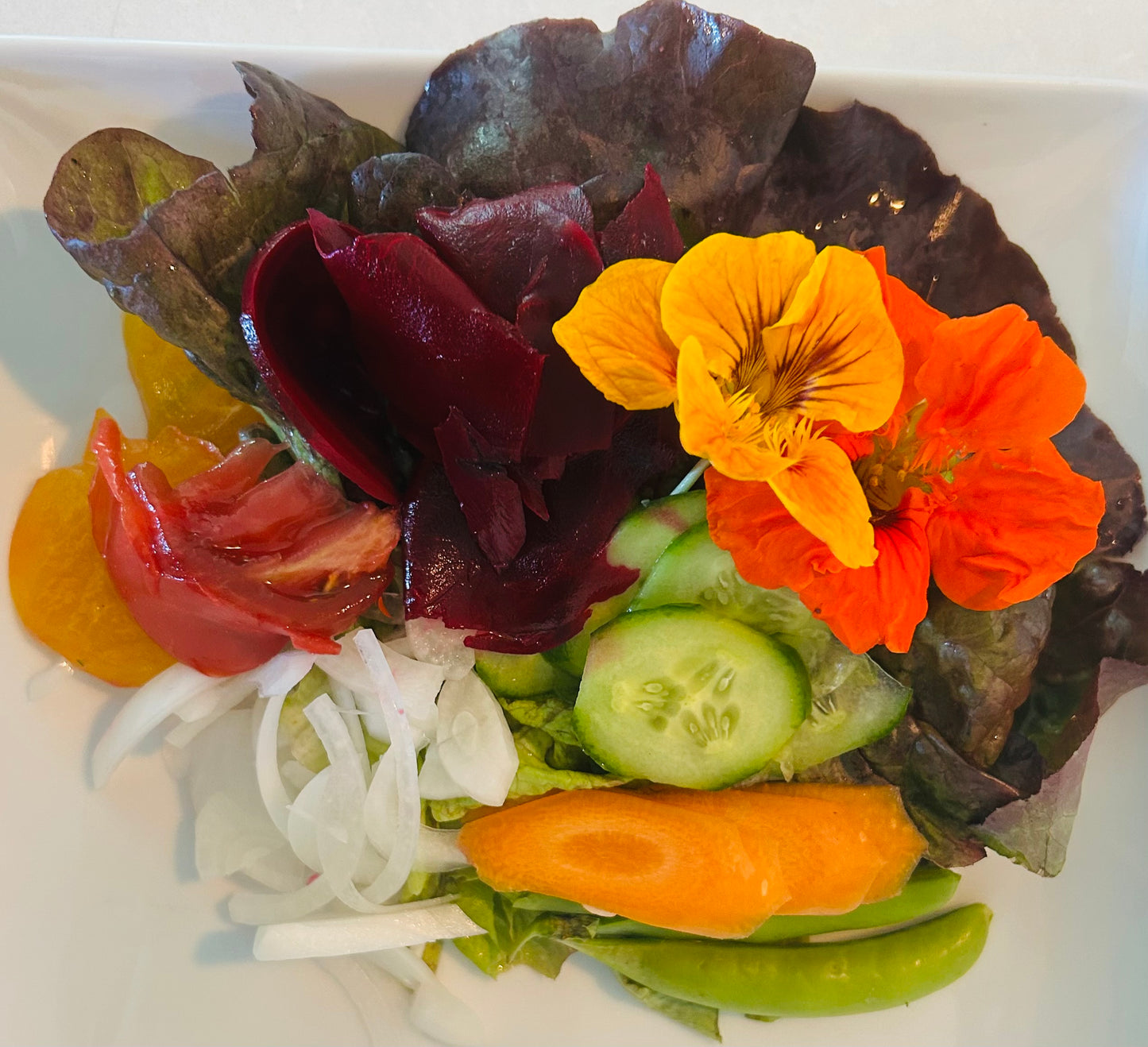 Garden Green Salad!         Seasonal Goodness and a light Balsamic Vinaigrette