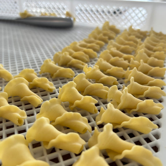 Campanelle House Extruded Pasta 8oz Serves 2